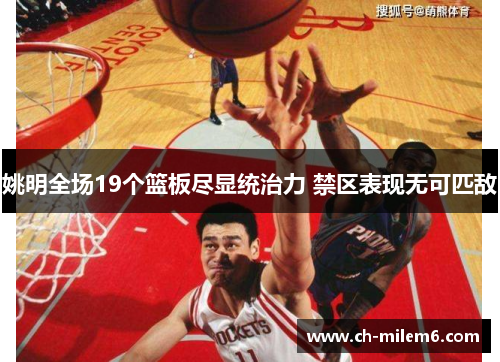 姚明全场19个篮板尽显统治力 禁区表现无可匹敌