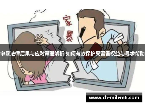 家暴法律后果与应对策略解析 如何有效保护受害者权益与寻求帮助