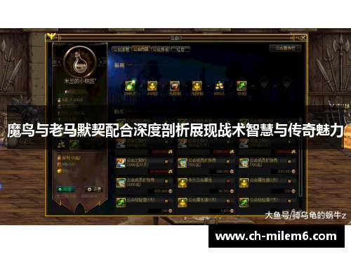 魔鸟与老马默契配合深度剖析展现战术智慧与传奇魅力